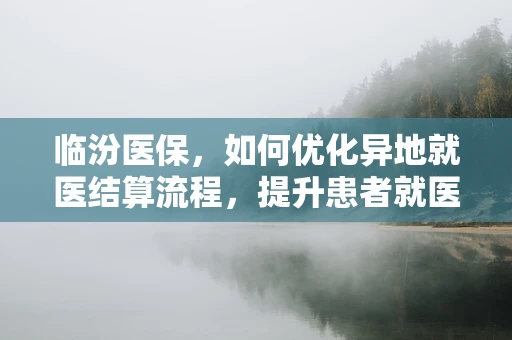 临汾医保，如何优化异地就医结算流程，提升患者就医体验？