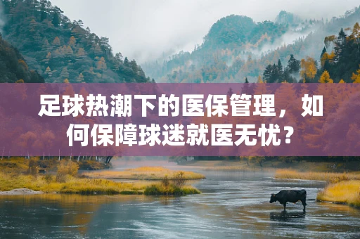 足球热潮下的医保管理，如何保障球迷就医无忧？