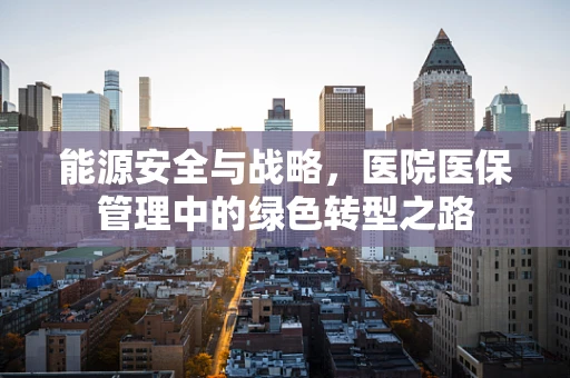 能源安全与战略，医院医保管理中的绿色转型之路
