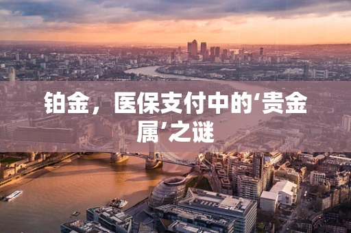 铂金，医保支付中的‘贵金属’之谜