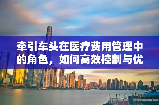 牵引车头在医疗费用管理中的角色，如何高效控制与优化？