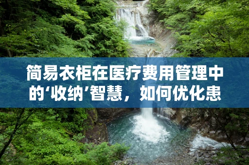简易衣柜在医疗费用管理中的‘收纳’智慧，如何优化患者住院期间的个人物品管理？
