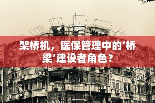 架桥机，医保管理中的‘桥梁’建设者角色？