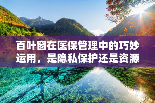 百叶窗在医保管理中的巧妙运用，是隐私保护还是资源浪费？