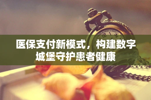 医保支付新模式，构建数字城堡守护患者健康