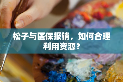 松子与医保报销，如何合理利用资源？