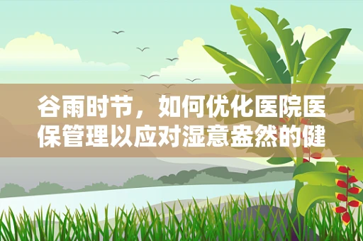 谷雨时节，如何优化医院医保管理以应对湿意盎然的健康挑战？