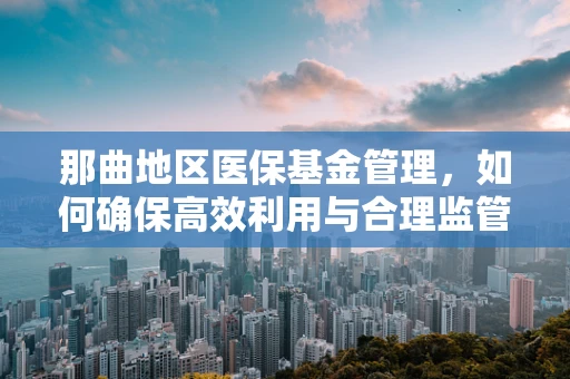 那曲地区医保基金管理，如何确保高效利用与合理监管？