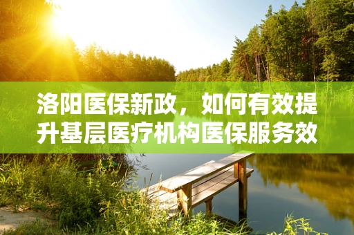 洛阳医保新政，如何有效提升基层医疗机构医保服务效率？