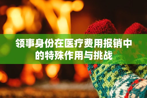 领事身份在医疗费用报销中的特殊作用与挑战