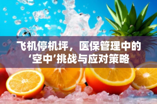 飞机停机坪，医保管理中的‘空中’挑战与应对策略