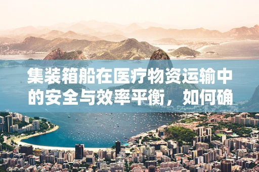 集装箱船在医疗物资运输中的安全与效率平衡，如何确保医保物资的‘舱’中安全？