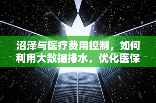 沼泽与医疗费用控制，如何利用大数据排水，优化医保资源？