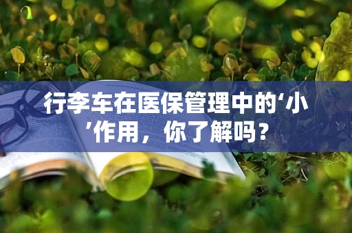 行李车在医保管理中的‘小’作用，你了解吗？