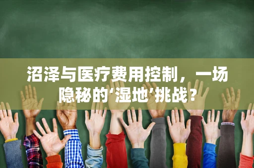 沼泽与医疗费用控制，一场隐秘的‘湿地’挑战？