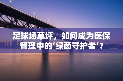 足球场草坪，如何成为医保管理中的‘绿茵守护者’？