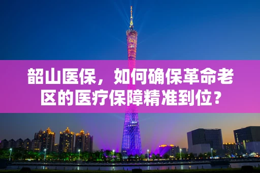 韶山医保，如何确保革命老区的医疗保障精准到位？