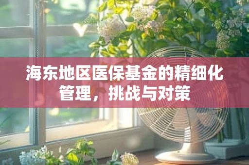 海东地区医保基金的精细化管理，挑战与对策