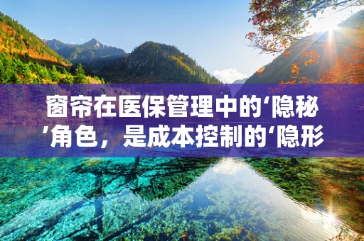 窗帘在医保管理中的‘隐秘’角色，是成本控制的‘隐形盾牌’吗？