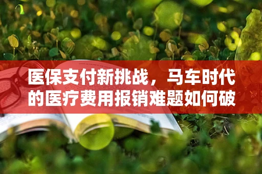 医保支付新挑战，马车时代的医疗费用报销难题如何破？