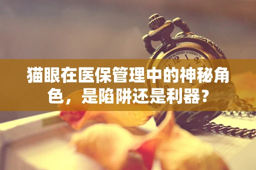猫眼在医保管理中的神秘角色，是陷阱还是利器？