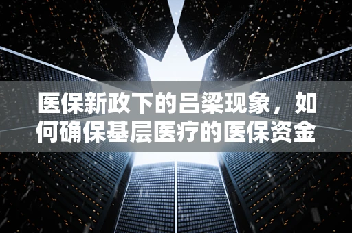 医保新政下的吕梁现象，如何确保基层医疗的医保资金高效利用？