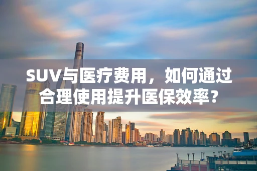 SUV与医疗费用，如何通过合理使用提升医保效率？