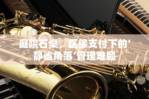 庭院石桌，医保支付下的‘静谧角落’管理难题