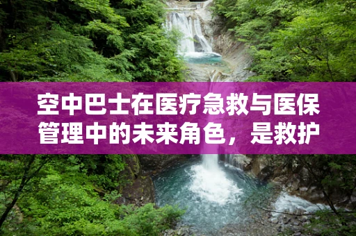 空中巴士在医疗急救与医保管理中的未来角色，是救护车还是新蓝海？