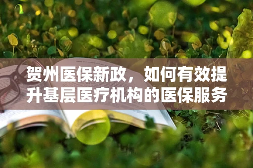 贺州医保新政，如何有效提升基层医疗机构的医保服务水平？