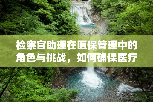 检察官助理在医保管理中的角色与挑战，如何确保医疗费用合规性？