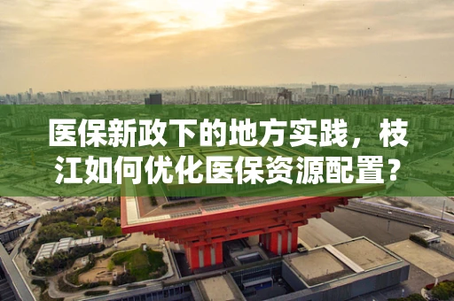 医保新政下的地方实践，枝江如何优化医保资源配置？