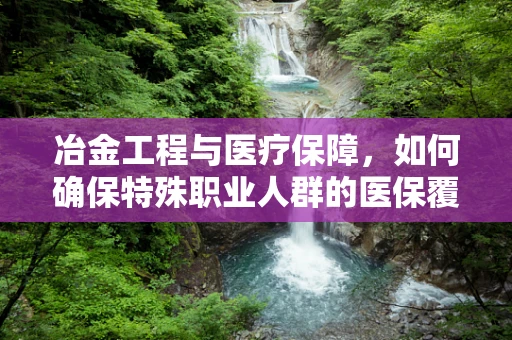 冶金工程与医疗保障，如何确保特殊职业人群的医保覆盖？