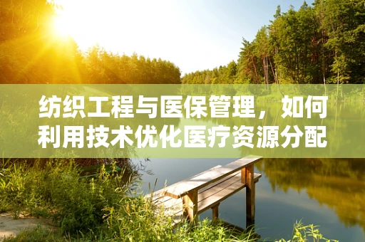 纺织工程与医保管理，如何利用技术优化医疗资源分配？