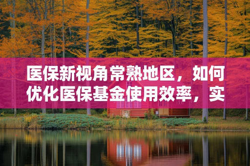 医保新视角常熟地区，如何优化医保基金使用效率，实现医疗资源均衡分配？
