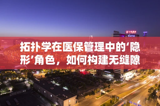 拓扑学在医保管理中的‘隐形’角色，如何构建无缝隙的医疗服务网络？