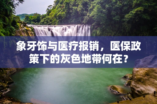 象牙饰与医疗报销，医保政策下的灰色地带何在？