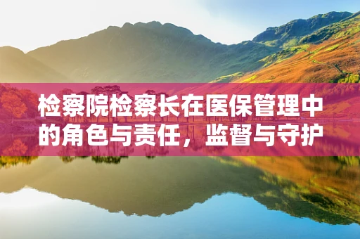 检察院检察长在医保管理中的角色与责任，监督与守护的双重使命