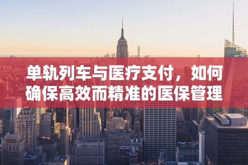 单轨列车与医疗支付，如何确保高效而精准的医保管理？