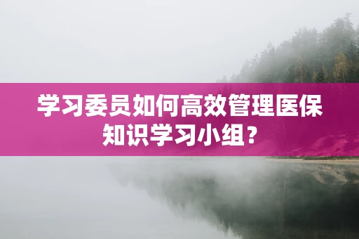学习委员如何高效管理医保知识学习小组？
