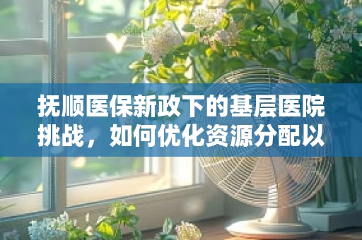 抚顺医保新政下的基层医院挑战，如何优化资源分配以提升服务效率？