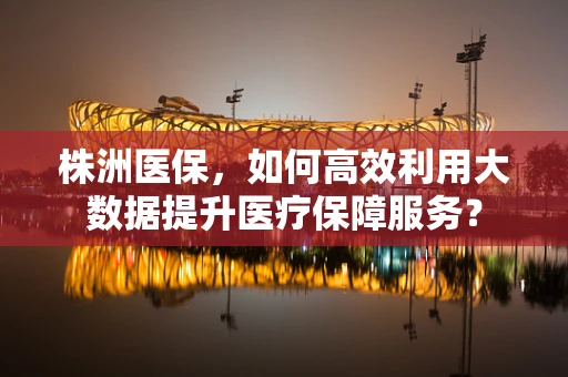 株洲医保，如何高效利用大数据提升医疗保障服务？