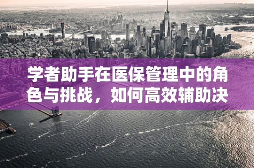 学者助手在医保管理中的角色与挑战，如何高效辅助决策？