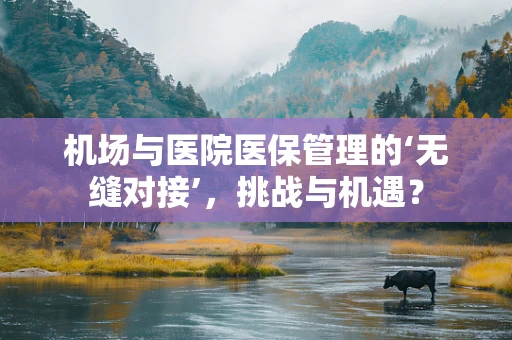 机场与医院医保管理的‘无缝对接’，挑战与机遇？