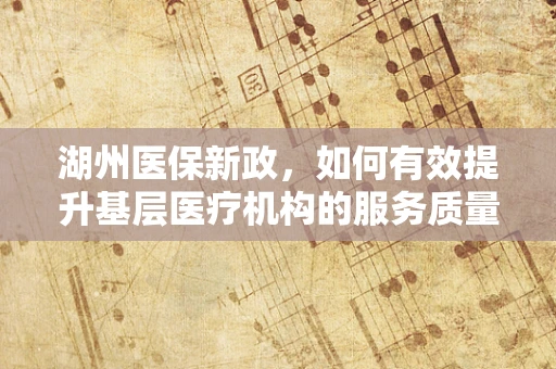 湖州医保新政，如何有效提升基层医疗机构的服务质量与效率？