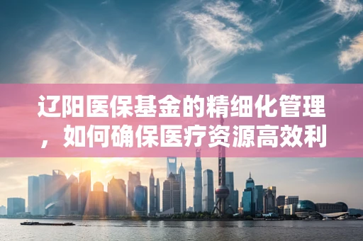 辽阳医保基金的精细化管理，如何确保医疗资源高效利用？