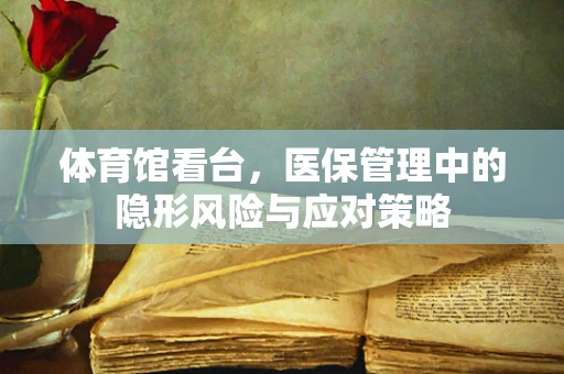 体育馆看台，医保管理中的隐形风险与应对策略