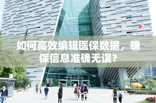如何高效编辑医保数据，确保信息准确无误？
