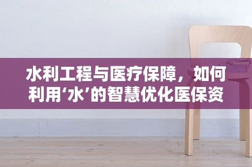 水利工程与医疗保障，如何利用‘水’的智慧优化医保资源？