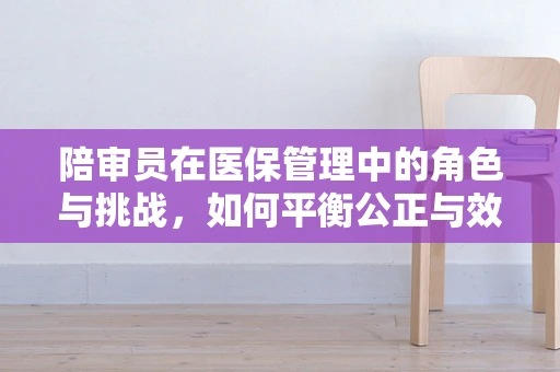 陪审员在医保管理中的角色与挑战，如何平衡公正与效率？